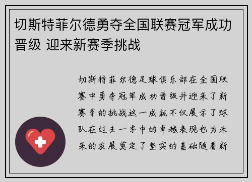 切斯特菲尔德勇夺全国联赛冠军成功晋级 迎来新赛季挑战 切斯特菲尔德勇夺全国联赛冠军成功晋级 迎来新赛季挑战